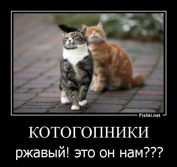 Демотиваторы миксмуви