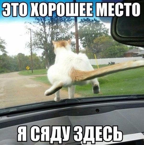 Авто приколы подборка (20 фото)