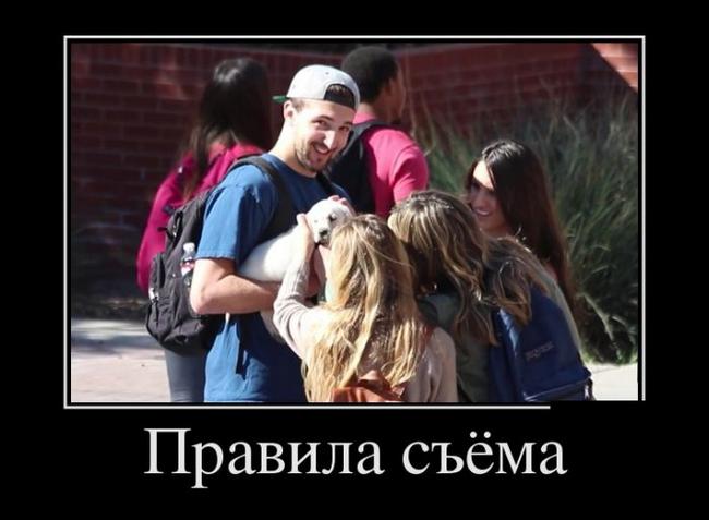 Прикольные демотиваторы #30 (30 шт.)
