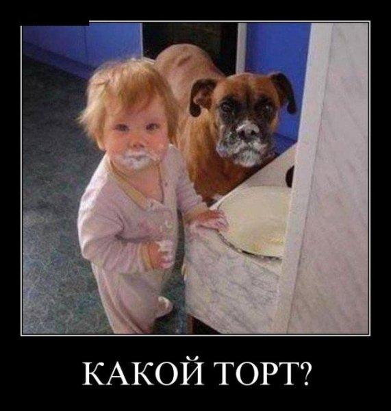 Прикольные Демотиваторы #129 [30 шт.]