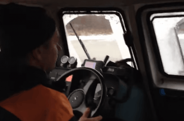 Спасение утопающего пса