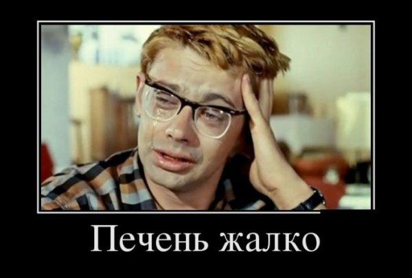 Демотиваторы подборка #174 [30 шт.]