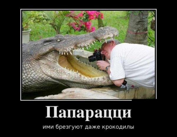 Демотиваторы подборка #180 [30 шт.]