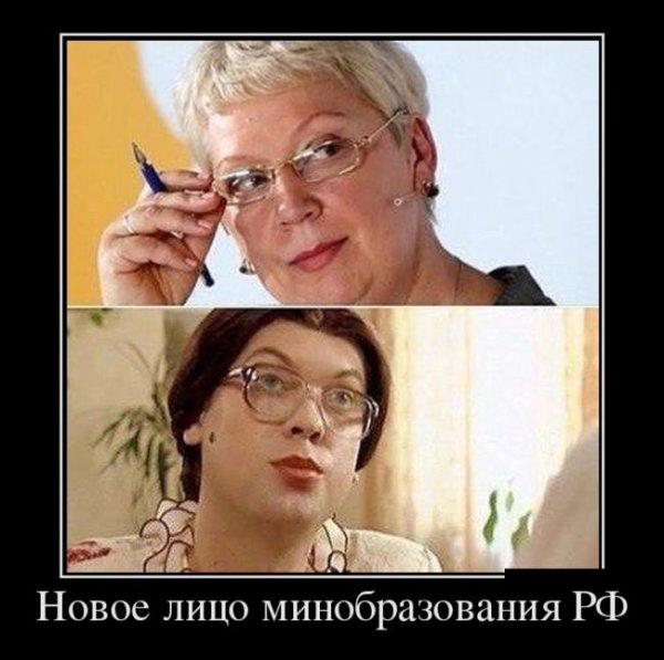 Демотиваторы #243 [30 шт.]