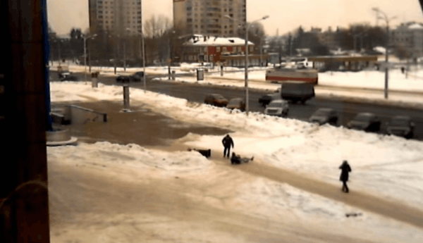 Собака сбивает человека духовкой!!! Чтоооо?
