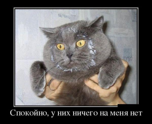 Демотиваторы самые лучшие #399