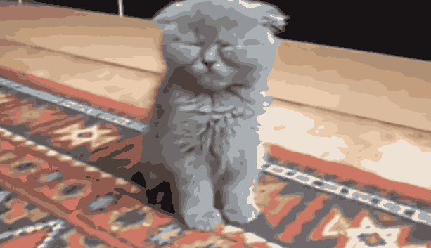 Смешной Котенок засыпает на ходу