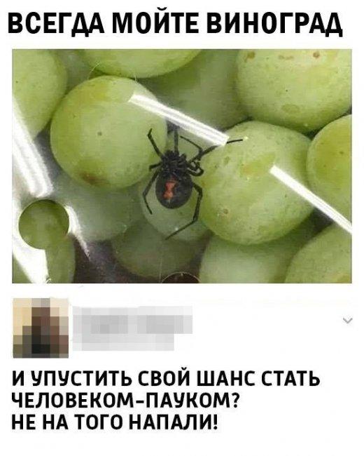 Смешные комментарии из социальных сетей
