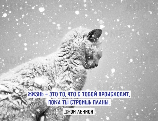 Мудрые цитаты на все времена