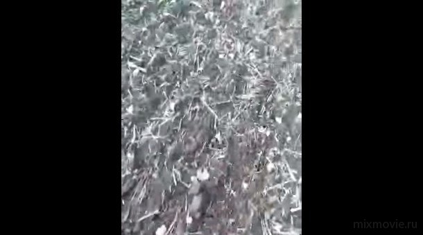 Работа вне закона