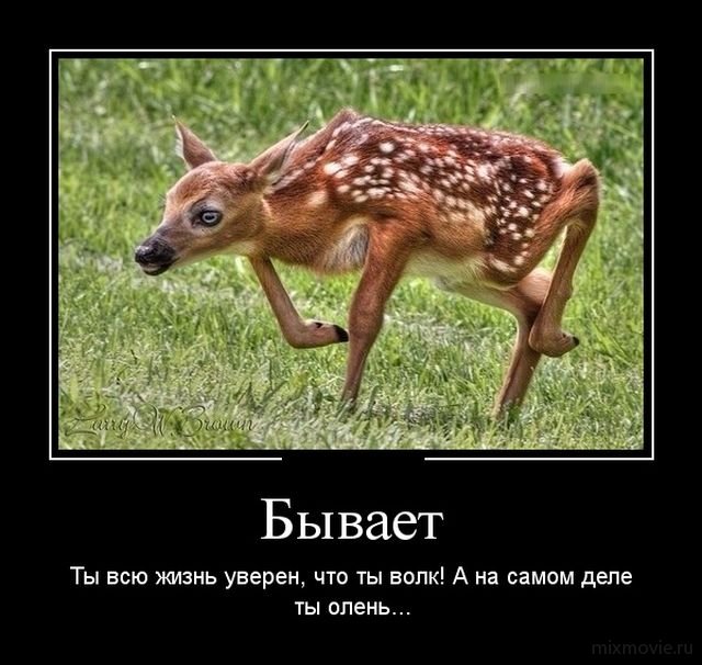 Демотиваторы смешная подборка #491