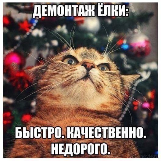 Смешные картинки из соц.сетей