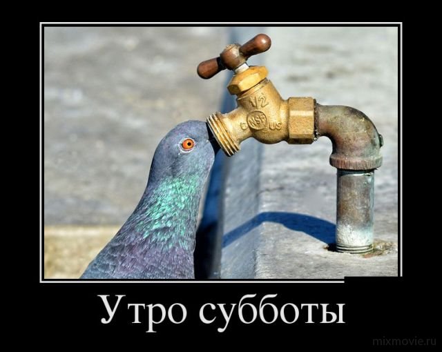 Демотиваторы смешная подборка дня