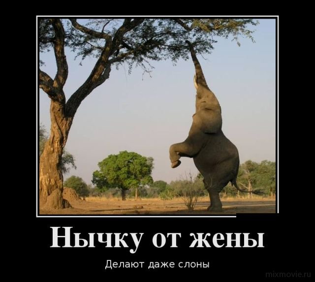 Демотиваторы смешная подборка дня