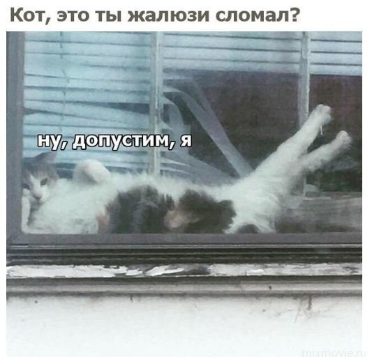 Смешные картинки из соц.сетей