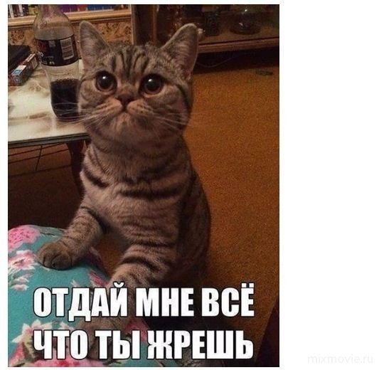Смешные картинки из соц.сетей