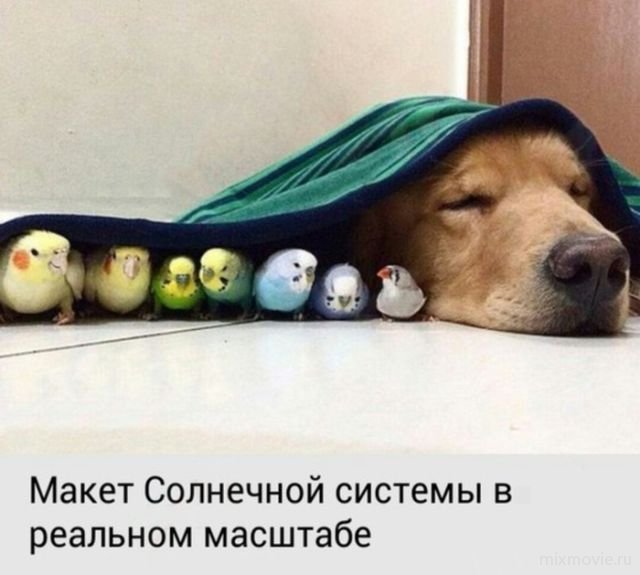 Прикольные фото и позитив. Дневная подборка