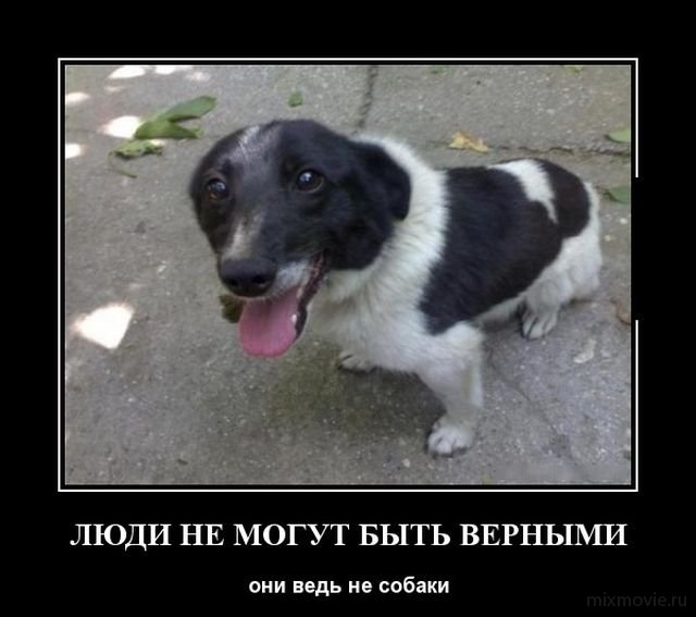 Демотиваторы смешная подборка дня