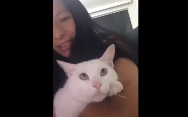 Дуэтом с котом