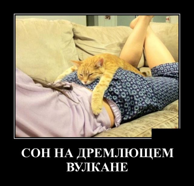 Демотиваторы смешная подборка дня