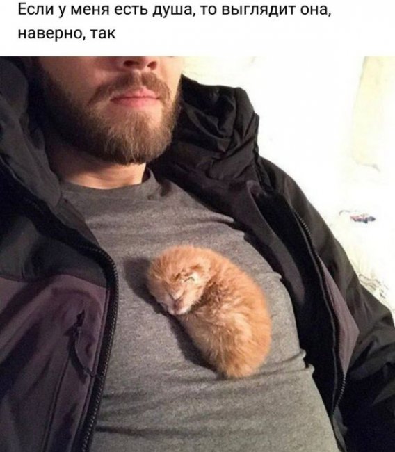 Прикольные фото и позитив. Дневная подборка