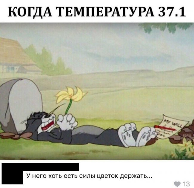 Смешные комментарии из социальных сетей