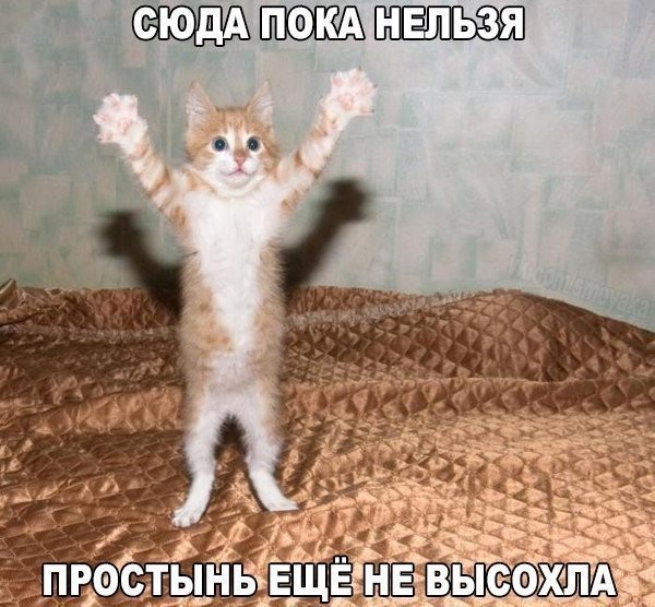 Смешные картинки из соц.сетей