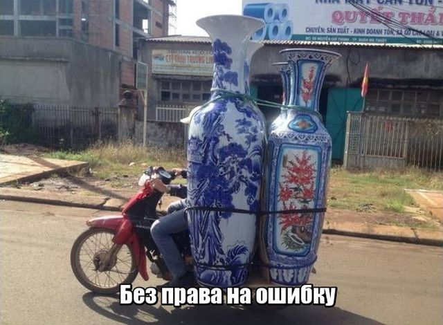 Прикольные фото и позитив. Утренняя подборка
