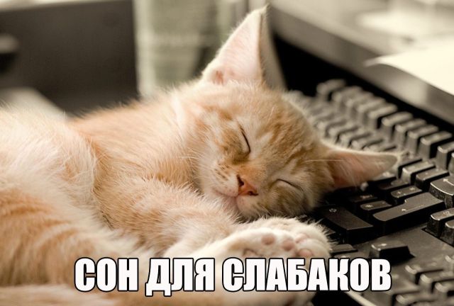Смешные картинки с подписями
