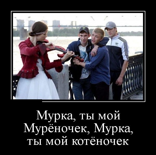 Демотиваторы смешная подборка дня