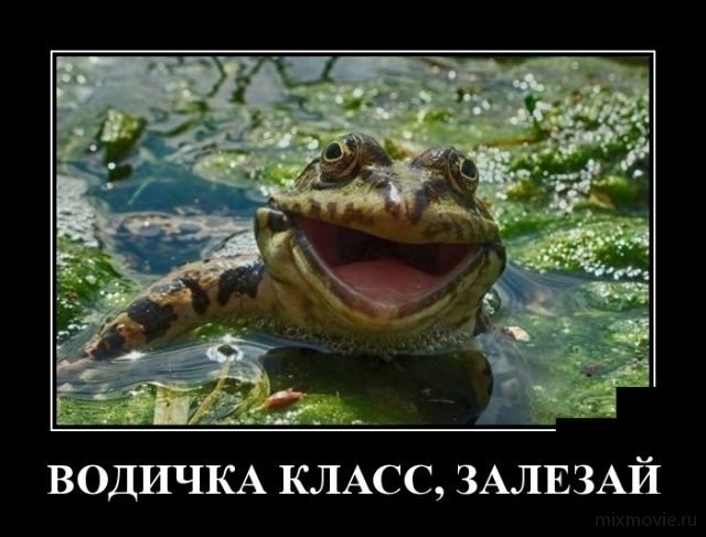 Демотиваторы смешная подборка дня
