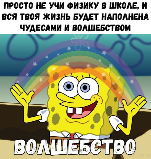 Прикольные фото и позитив. Утренняя подборка