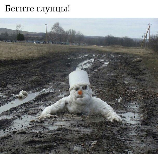 Смешные картинки из соц.сетей