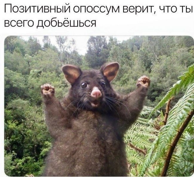 Смешные картинки из соц.сетей