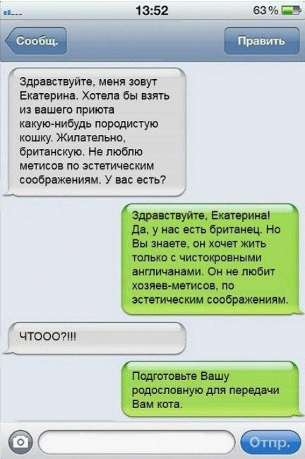 Смешные комментарии из социальных сетей
