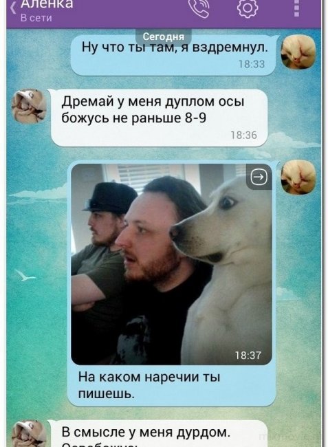 Смешные комментарии из социальных сетей