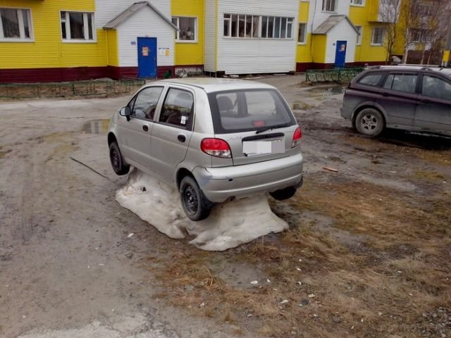 Прикольные фото и позитив. Утренняя подборка
