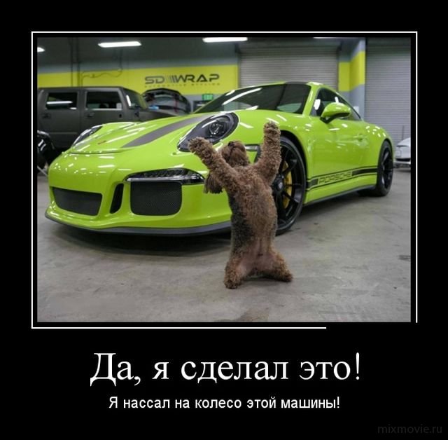 Демотиваторы смешная подборка дня