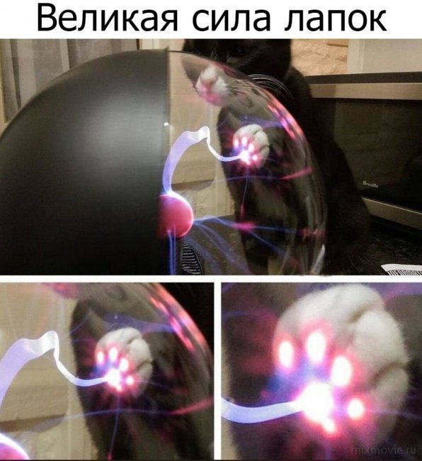 Смешные картинки из соц.сетей