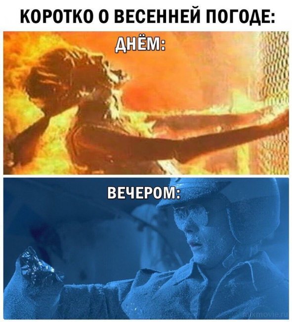 Смешные картинки из соц.сетей