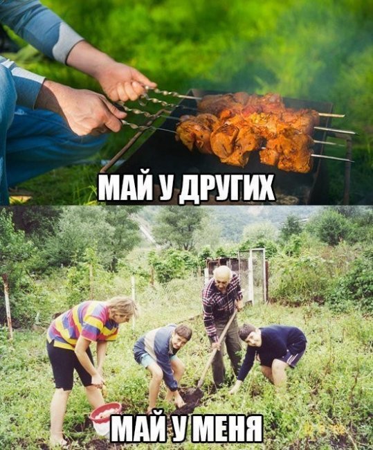 Смешные картинки из соц.сетей