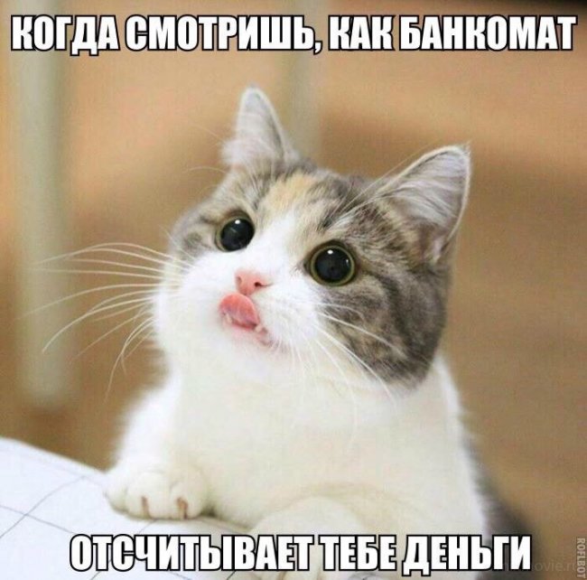 Смешные картинки из соц.сетей