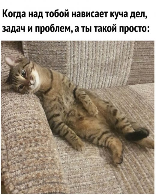 Смешные картинки из соц.сетей