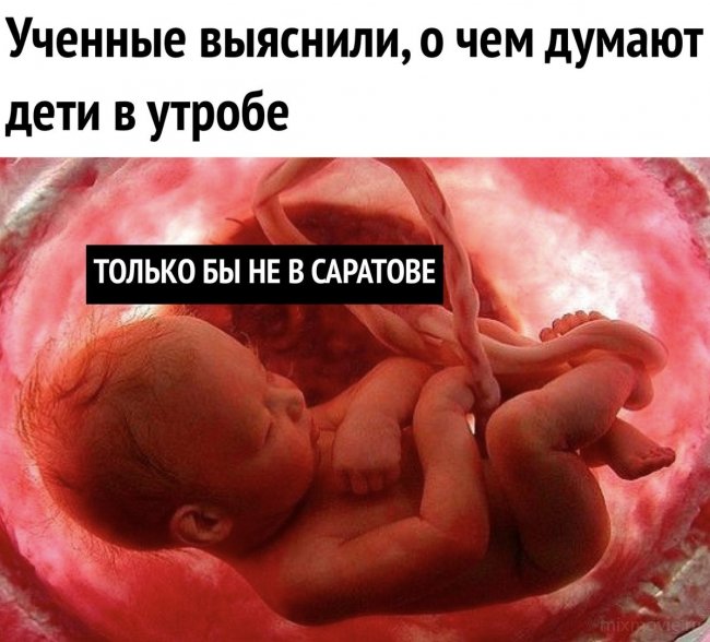 Смешные картинки из соц.сетей