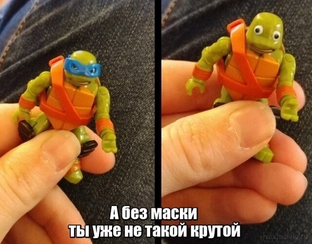 Смешные картинки из социальных сетей
