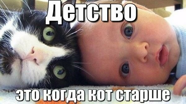 Смешные картинки из социальных сетей