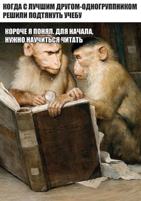 Смешные картинки из социальных сетей