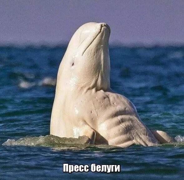 Смешные картинки из социальных сетей