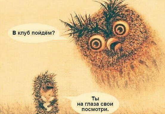 Смешные картинки из социальных сетей