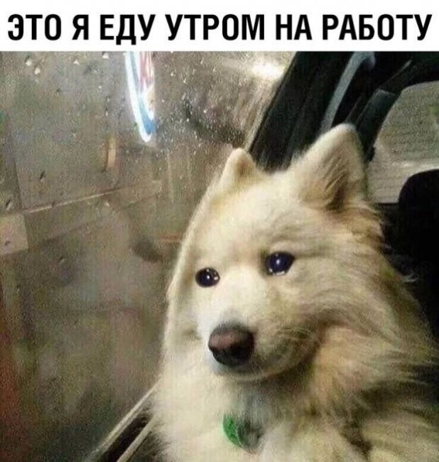 Смешные картинки из социальных сетей